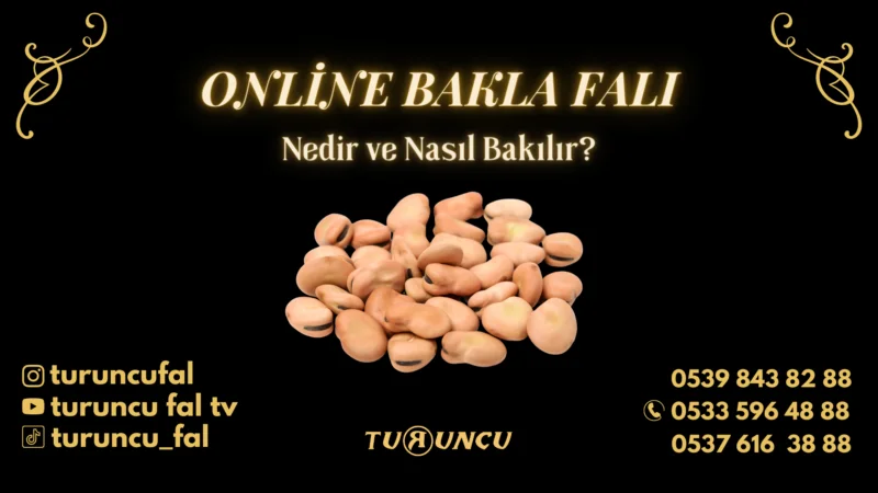 Online Bakla Falı