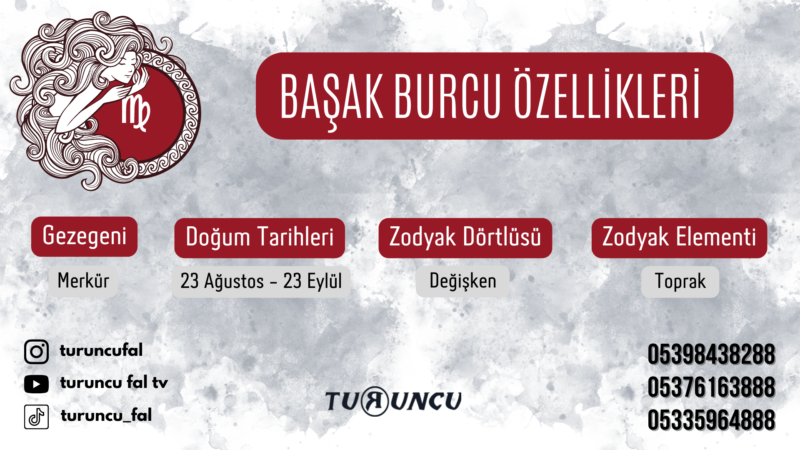 Başak Burcu Özellikleri